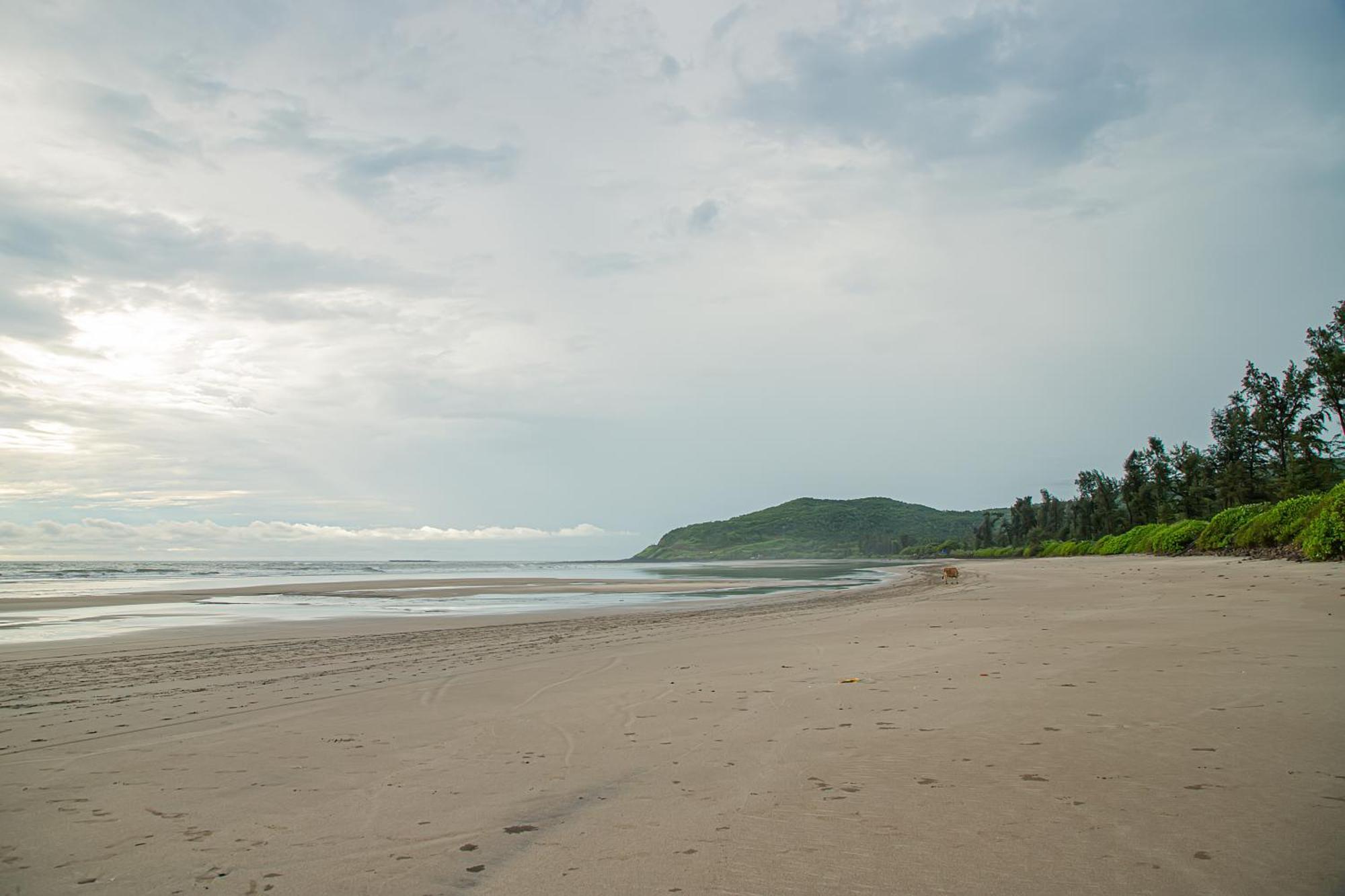 White Sand Beach Resort Kondivali Exterior foto